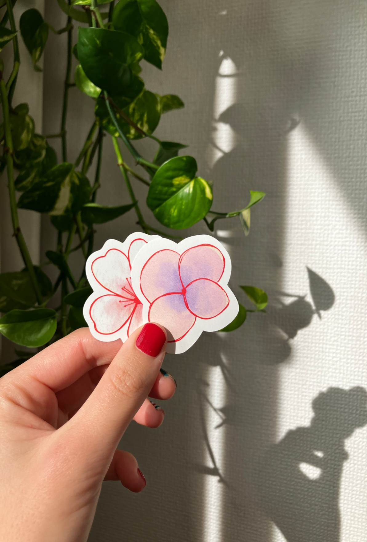 Hydragnea and Sakura Sticker pack (pack of 2)